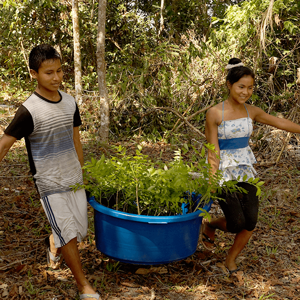 Descripción Imagen 3